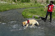 Al Rif. Ponti (2559 m), il rifugio del Disgrazia, dalla Valle di Preda Rossa il 23 giugno 2015 - FOTOGALLERY